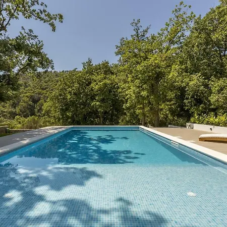 Ventura With Private 45 Sqm Swimming Pool, 4 Bedrooms, Gym, Game Villa *